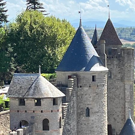 Appartement Tres Calme, Rdc, 800 M De La Cite Medievale Classee Au Patrimoine De L'Unesco Carcassonne Exterior foto